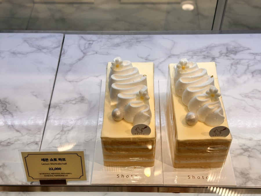 쇼토 롯데백화점 잠실점 사진 6