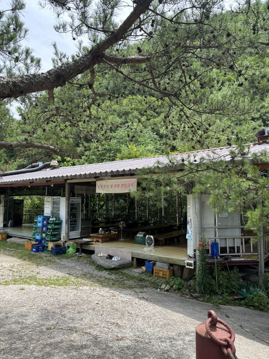 툇골자연화로오리 사진 1