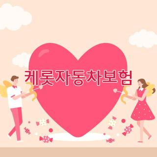 케롯자동차보험 고객센터 전화번호 단점 해지방법, 직접 알아보고 결정한 솔직 후기