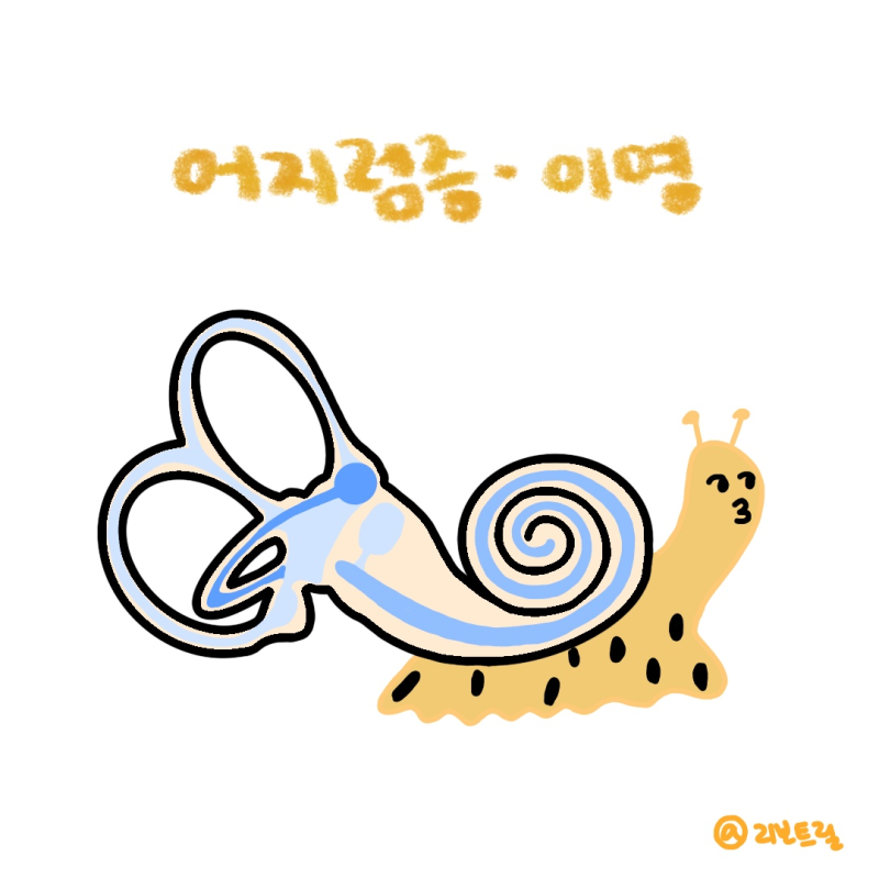 "빙글빙글 어지럽고 귀에서 삐 소리가 나요", 어지럼증·이명 증상과 원인부터 약국에서 사용....