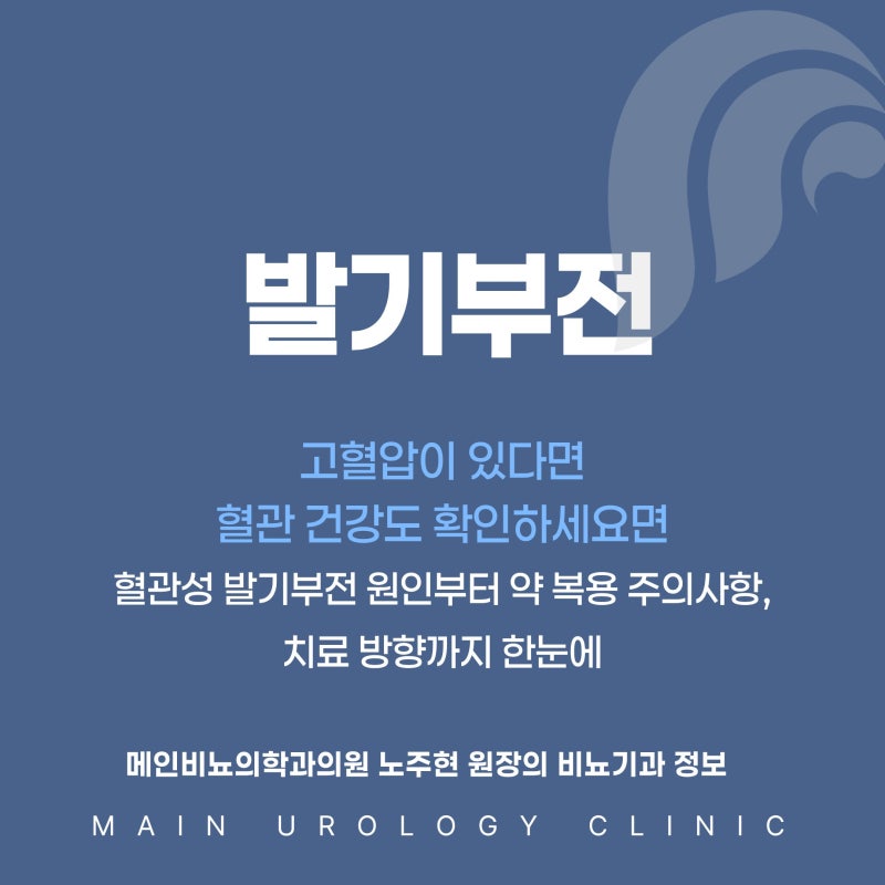 발기부전과 고혈압 관계 혈관성 발기부전 원인부터 치료까지