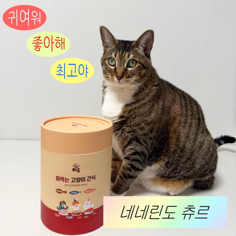 고양이츄르 추천, 네네린도 짜먹는 고양이스틱 세가지맛 솔직 후기