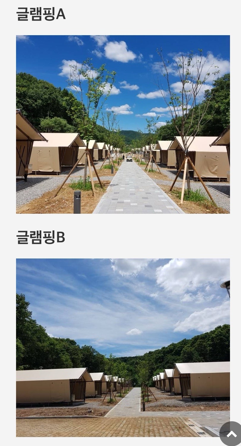 팀업캠퍼스 더포레스트캠핑장 사진 2