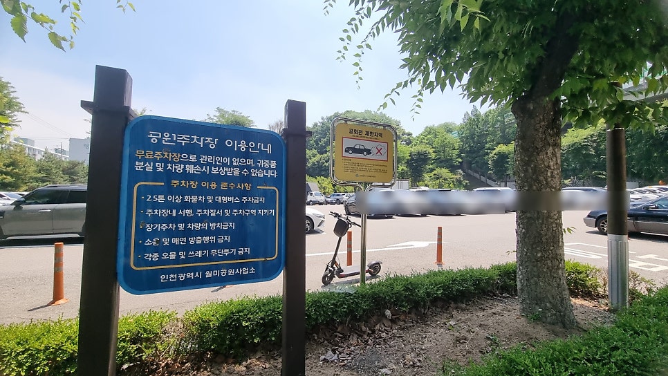 어래가 사진 3