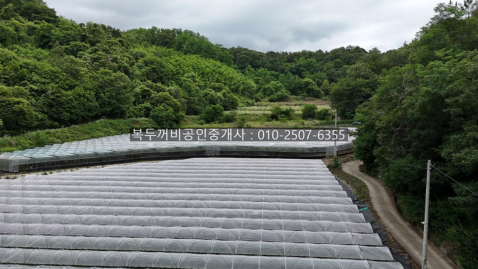 직지저수지 사진 6