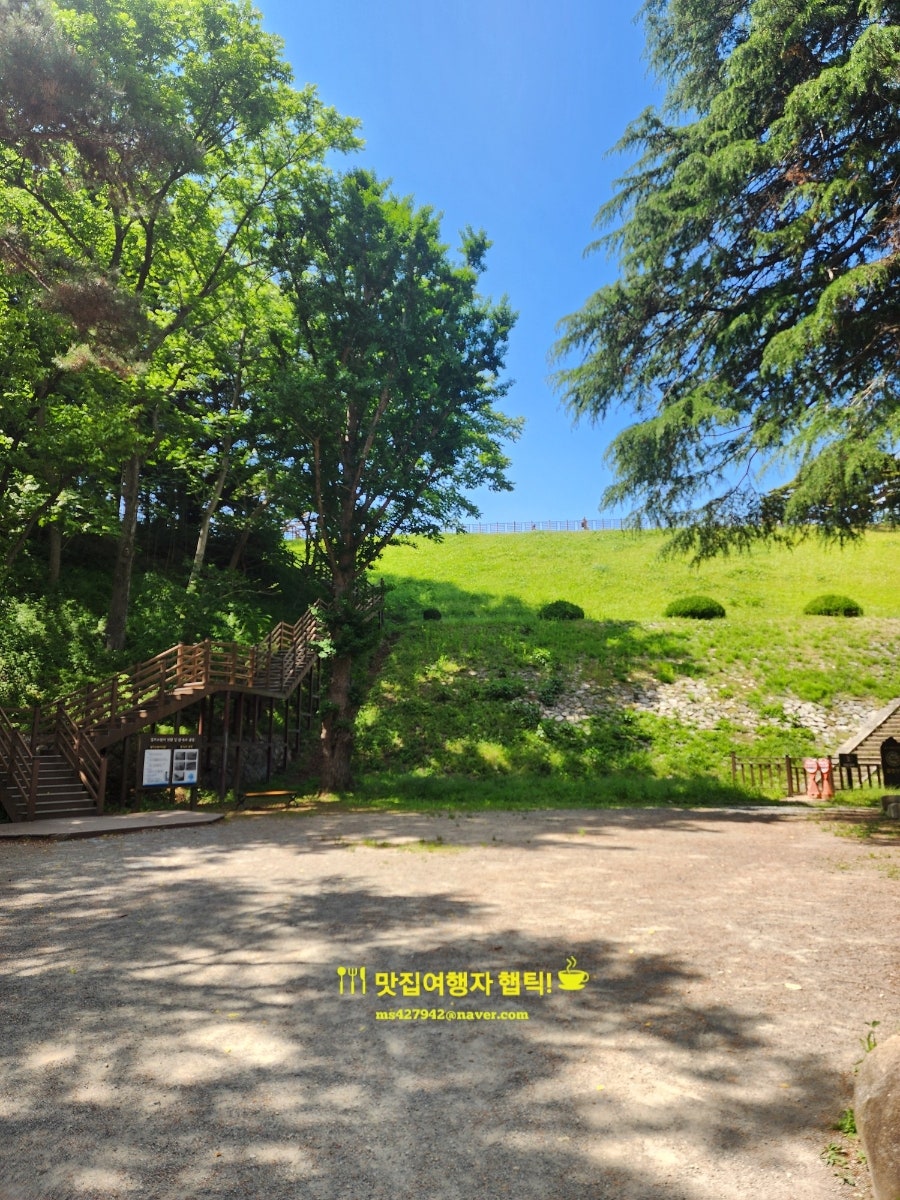 화이스시 사진 6