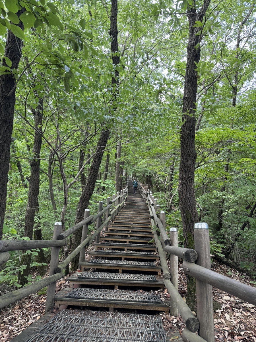 두메산골 사진 6