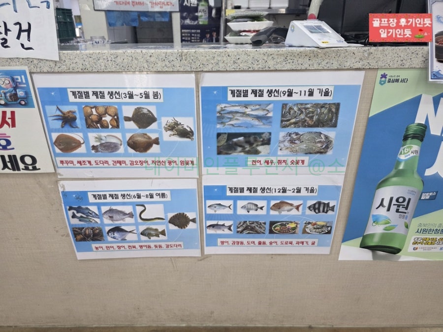 정치망 사진 1