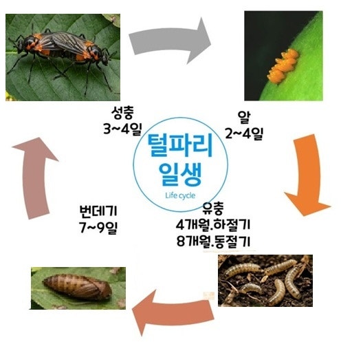 국민밥상 사진 6