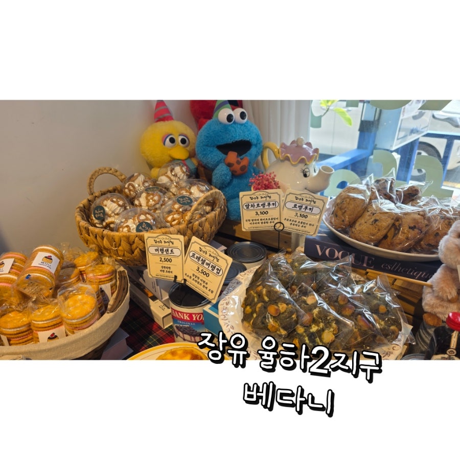 베다니 사진 1