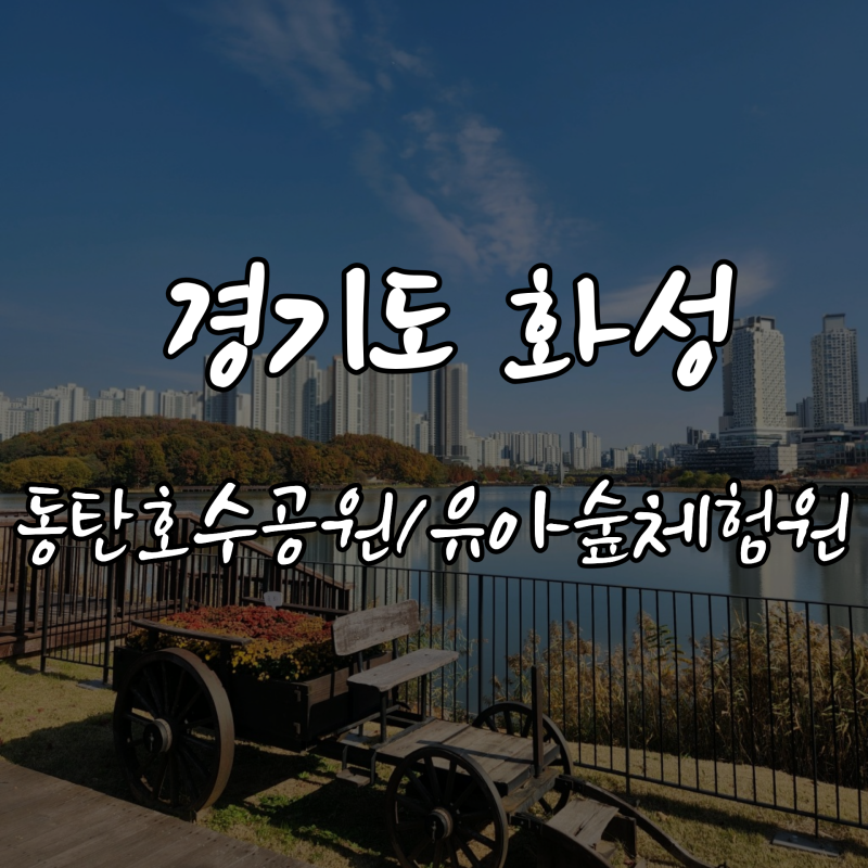 동탄호수공원 유아숲체험원 음악분수 시간과 이용팁 화성 아이와 가볼만한 곳