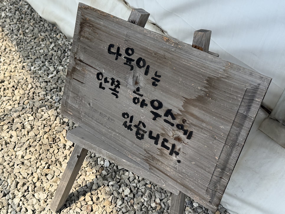 공삼번지다육농원 사진 3