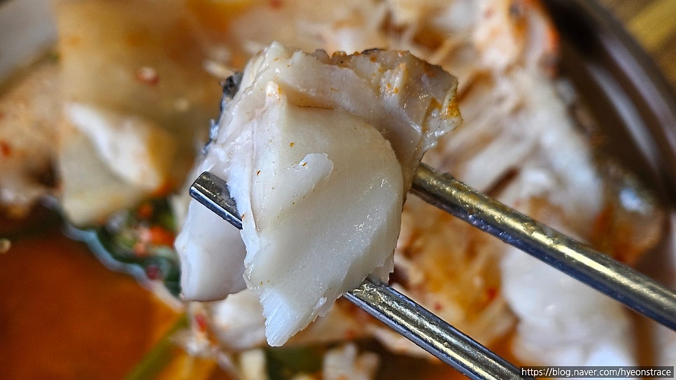 시골마당 사진 6