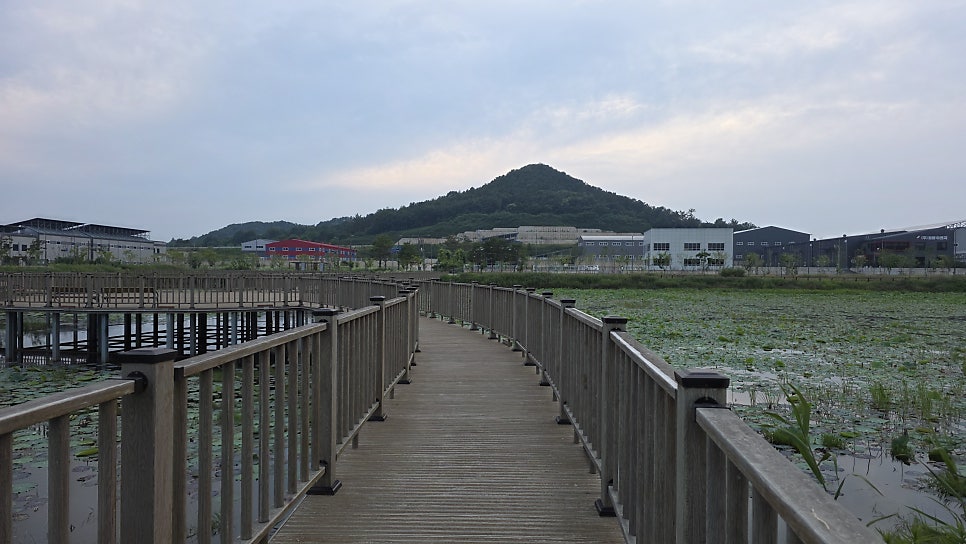 맹간제 사진 5
