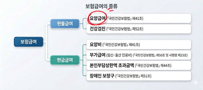 약의 급여, 전액 본인부담 (100/100), 허가초과 급여/비급여, 임의비급여, 선별급여(50%, 80%)에 대....