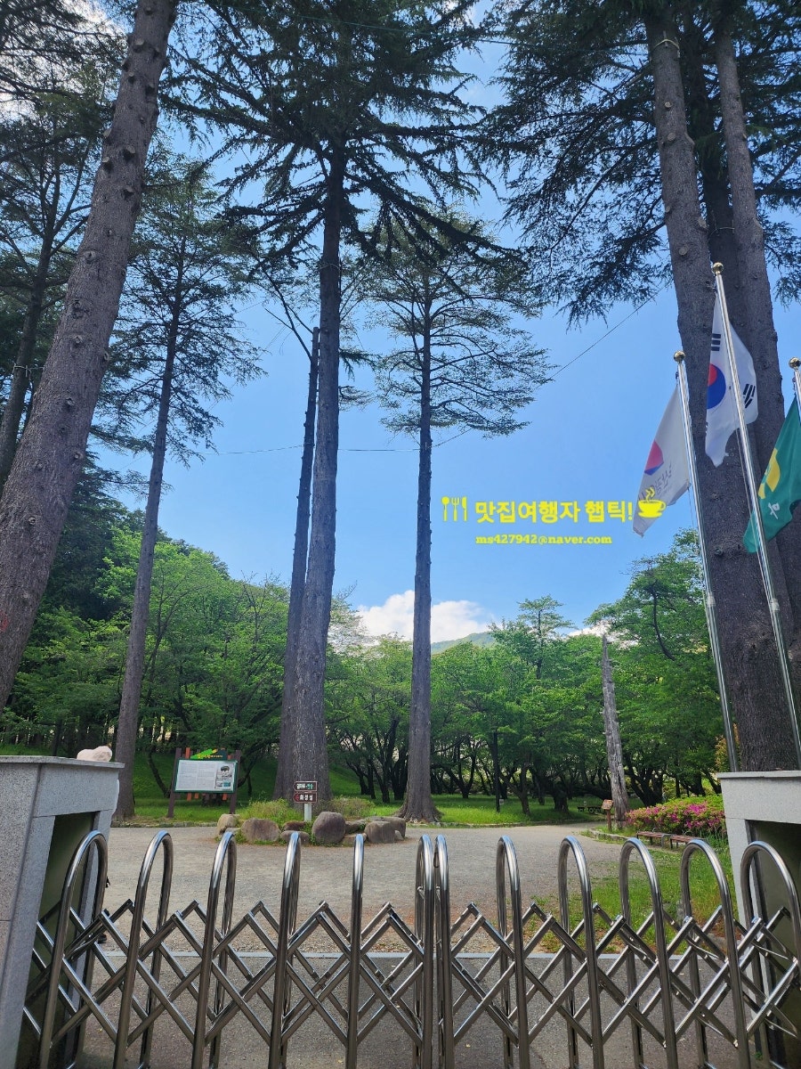 화이스시 사진 1