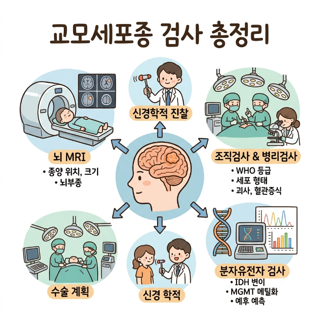 교모세포종 검사 방법 총정리｜MRI·조직검사·분자유전자 검사 진단 과정