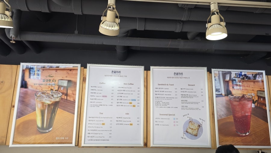 큰곰자리 사진 4