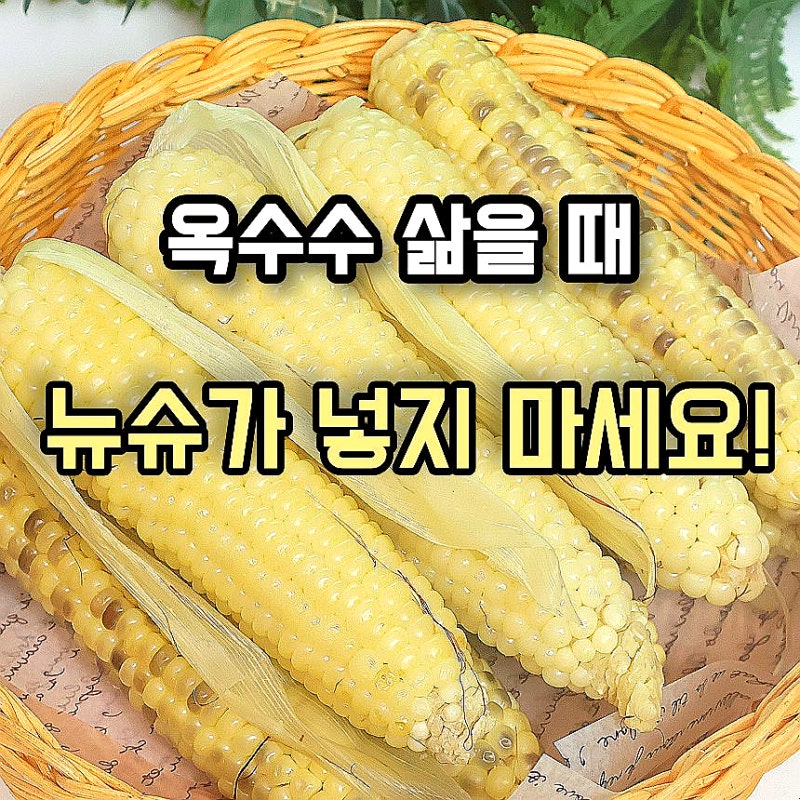 찰옥수수 삶을 때 '이것' 넣었더니 뉴슈가, 설탕 다 버렸습니다 삶는법 팁