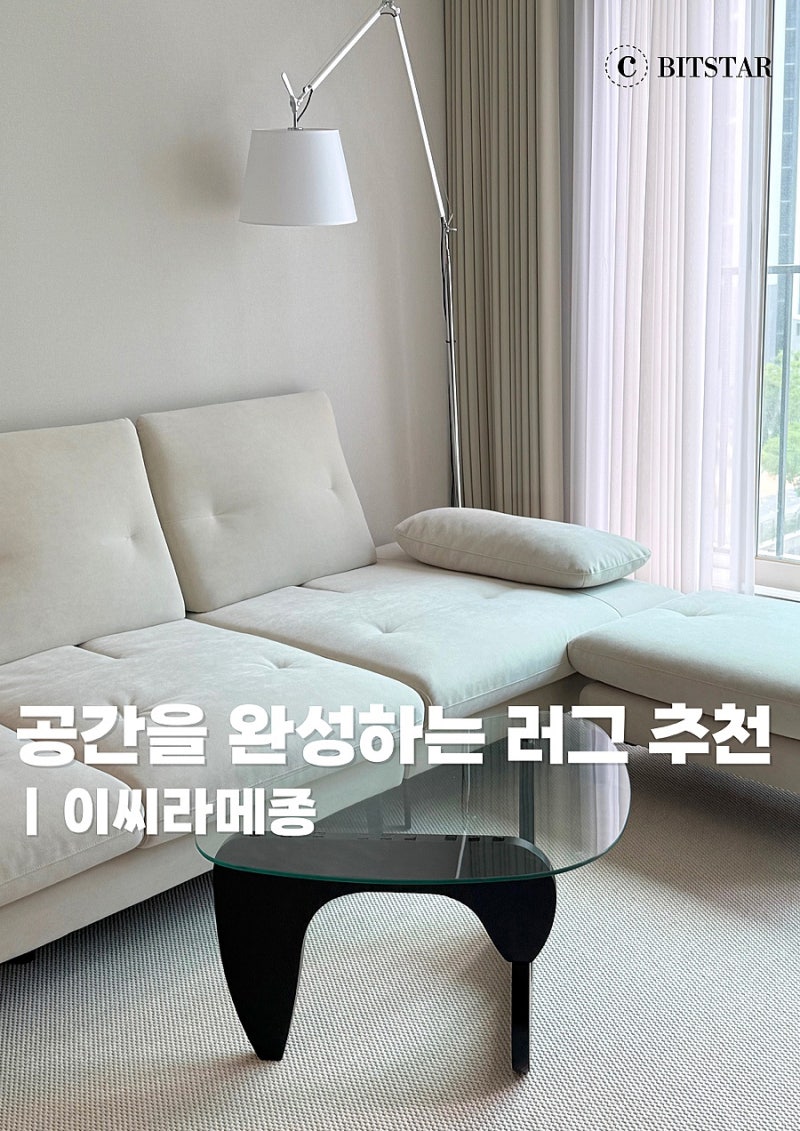 거실 러그 추천 이씨라메종 러그 2호 후기