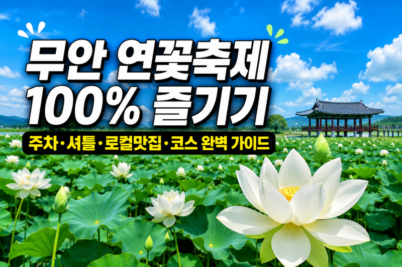 [ 2026 무안 연꽃축제 ] 실패없이 힐링 제대로 할 수 있는 방법