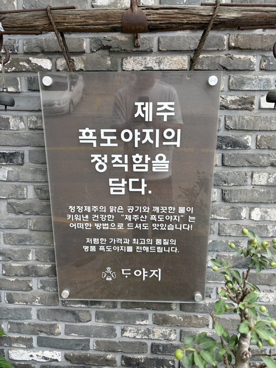 흑도야지 사진 3