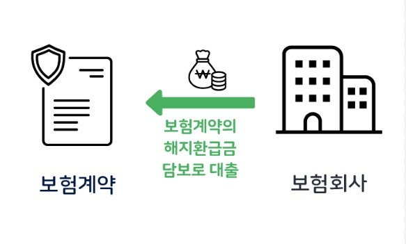 [금융 비상] “급전 통로마저 통째로 묶인다!” 55조 ‘약관대출’ 급증에 금융당국 기습 경....