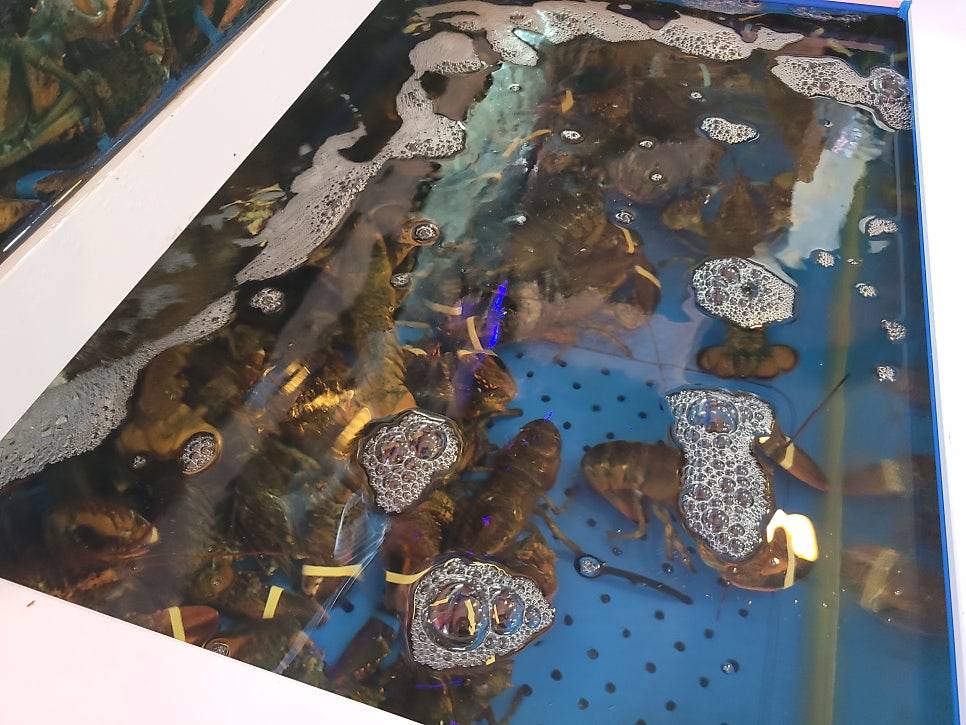 행복한밥상 사진 6