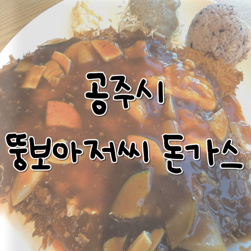 공주 금흥동 | 뚱보아저씨 월송동 왕돈까스 물비빔국수