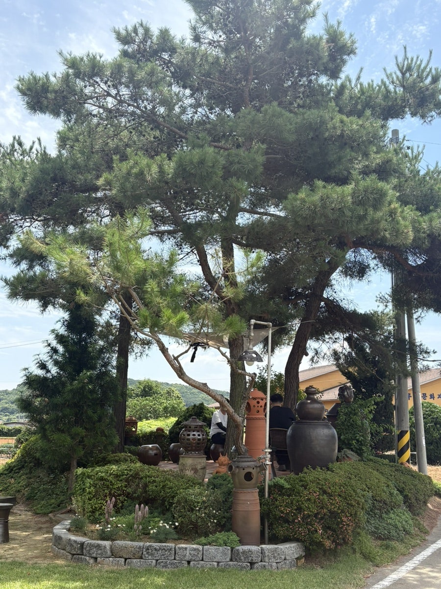 더옹기카페 사진 6