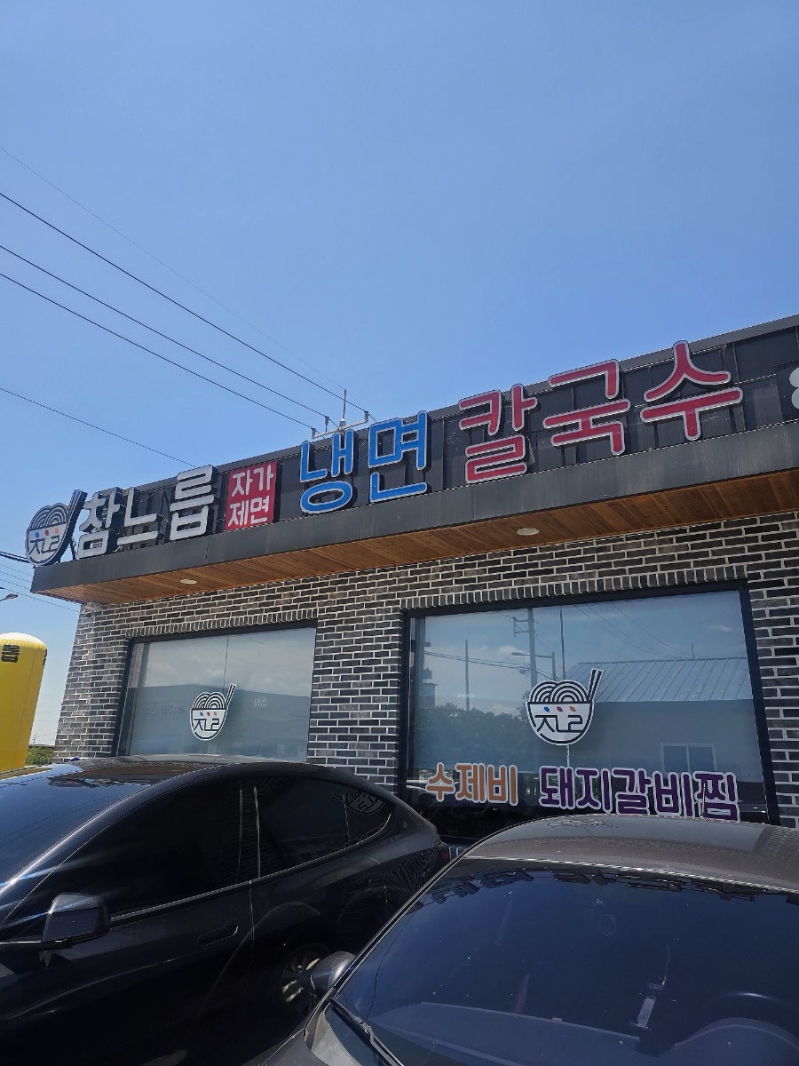 참느릅 사진 3