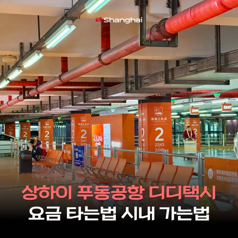 상하이 푸동공항 디디택시 위치 요금 타는 법 캐리어 시내 가는법