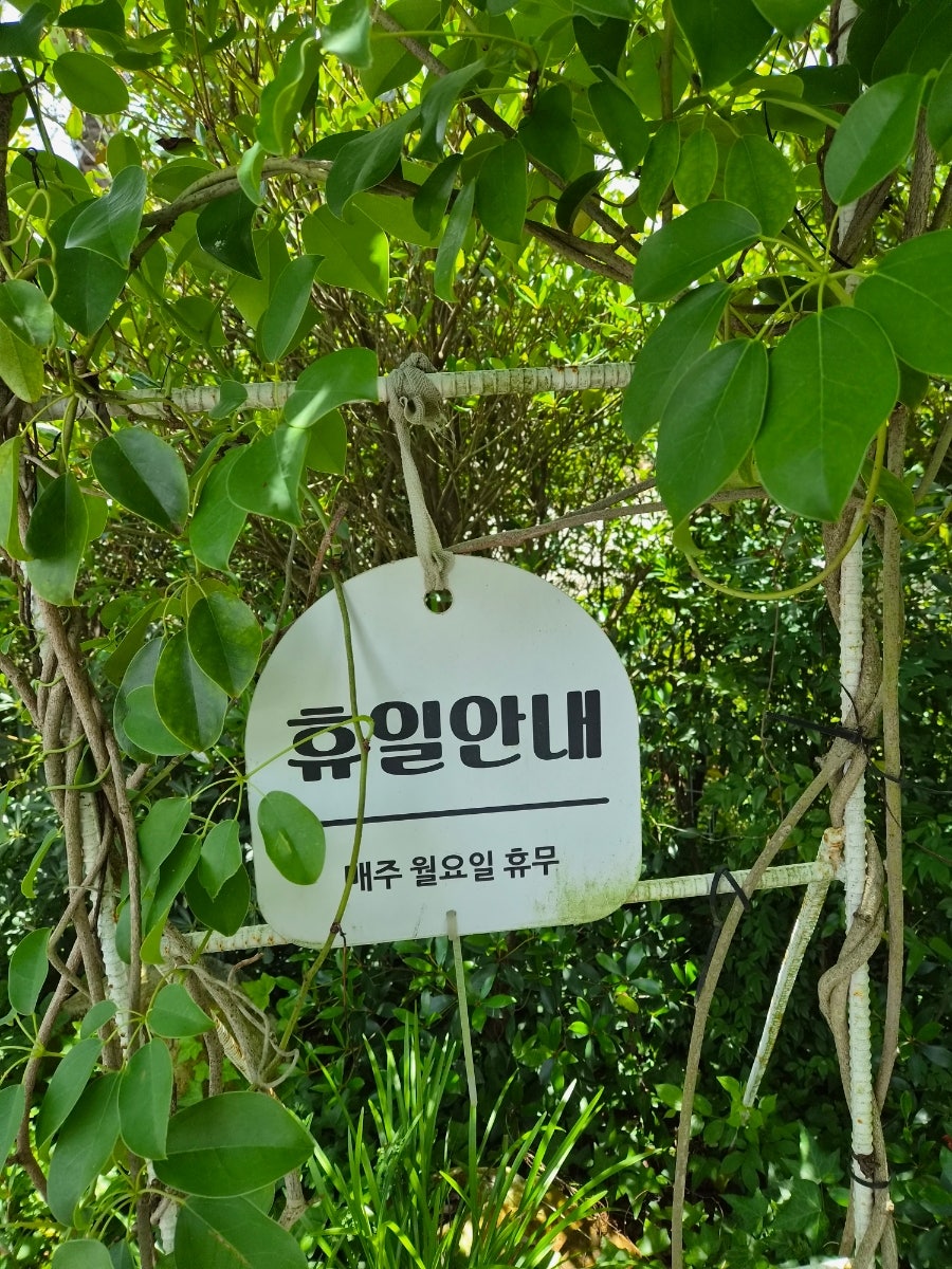 오류제 사진 5