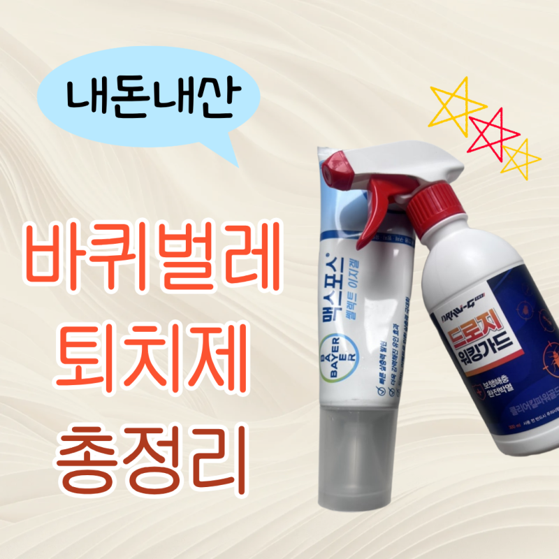 2년간 바퀴벌레약 다 써봤는데, 결론은 약이 아니었어요 | 스프레이, 독먹이겔 총정리