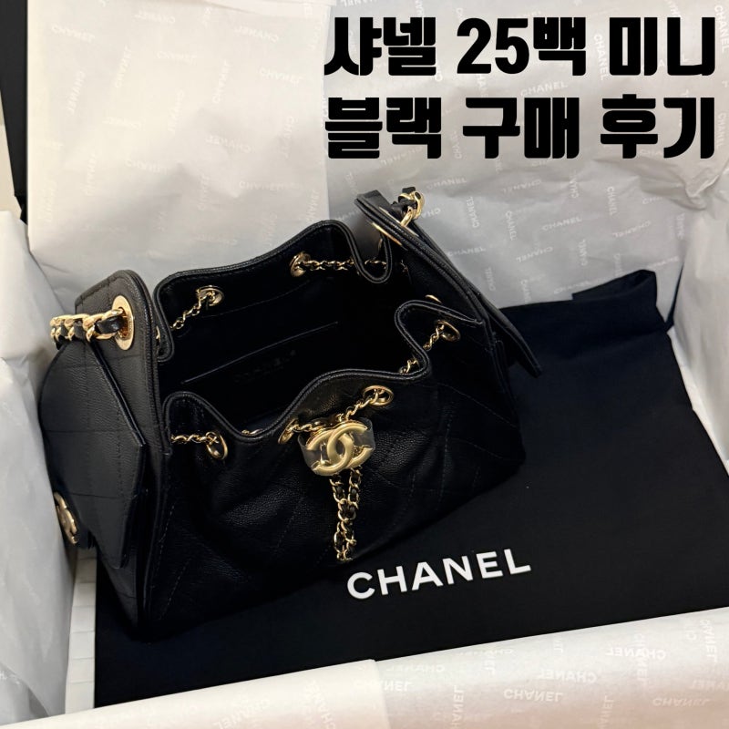 샤넬 25백 미니 블랙 첫번째 도전만에 구매한 후기! 롯데백화점 에비뉴엘 잠실점 샤넬 오픈런