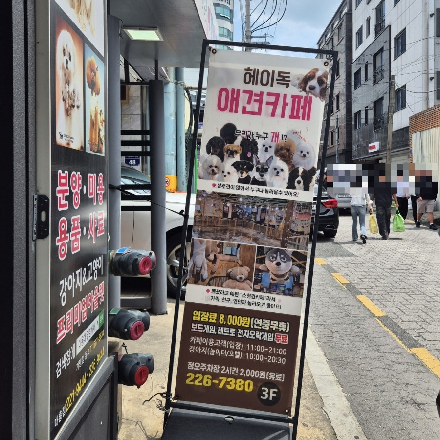 헤이독 대전점 사진 2