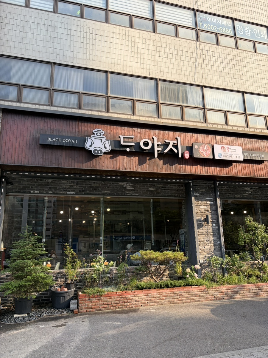 흑도야지 사진 2