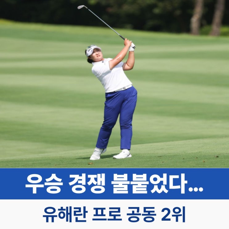 선수 나타났다? <b>유해란 프로</b> 8언더파 몰아치며 공동 2위 껑충