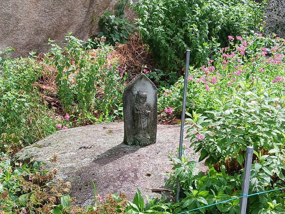 작성산 사진 6