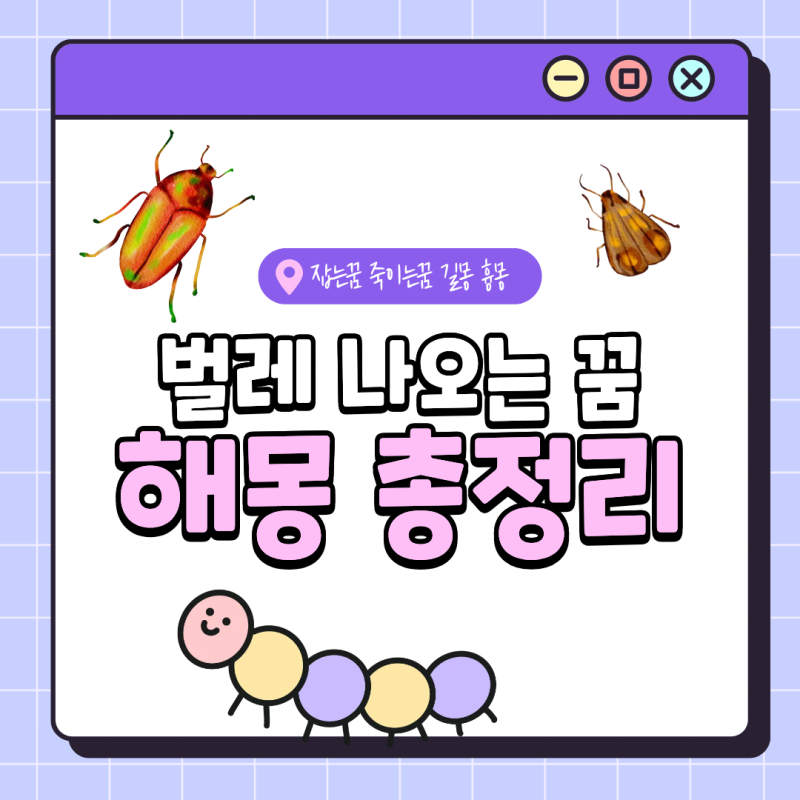 벌레 나오는꿈 해몽 총정리 잡는꿈 죽이는꿈 길몽일까 흉몽일까
