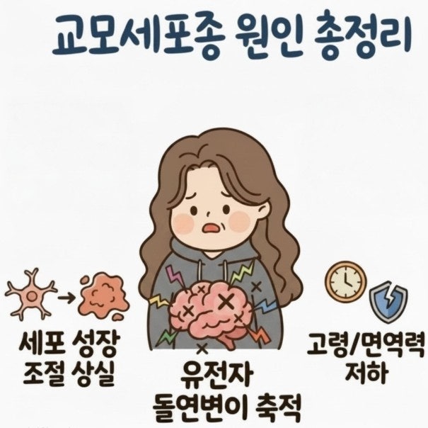 교모세포종 원인 총정리｜유전자 변이와 뇌세포 변화의 발생 구조
