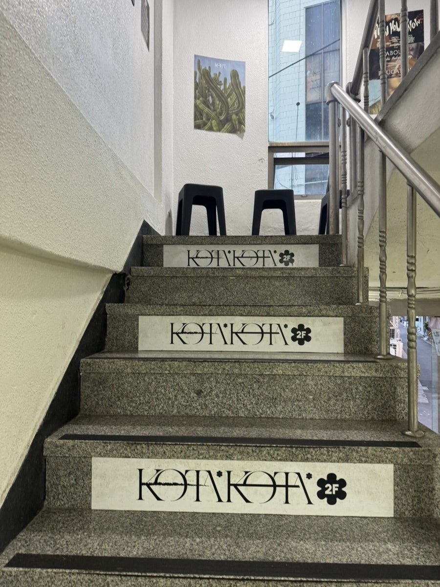 코타 사진 3