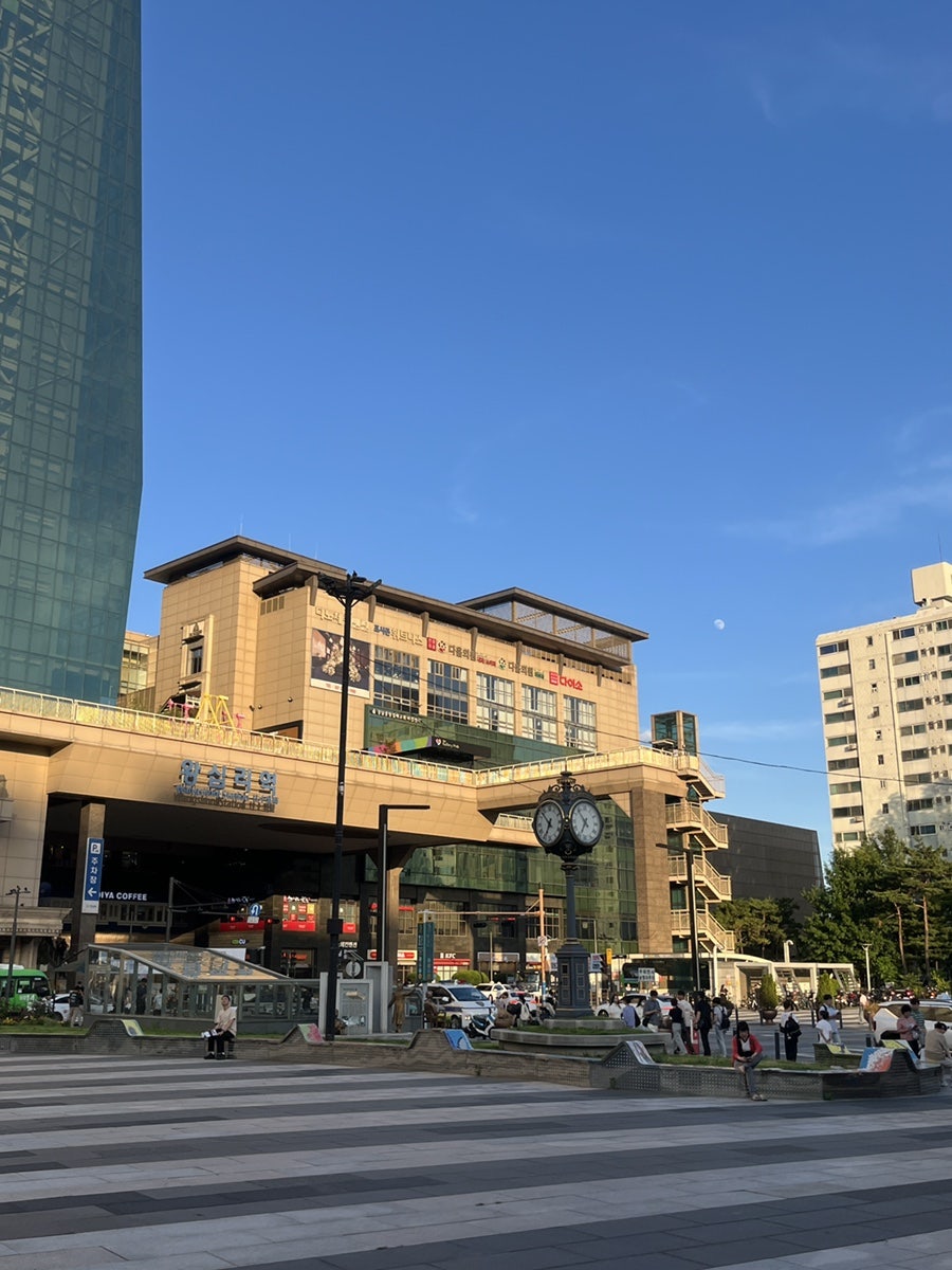 곤스 사진 1