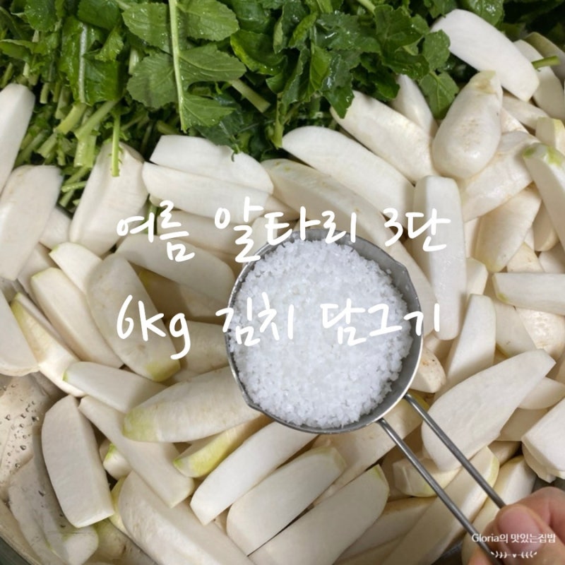 여름 알타리무 3단으로 김치 담그기, 아삭한 알타리김치 황금레시피