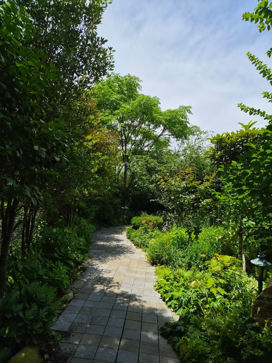 오류제 사진 6