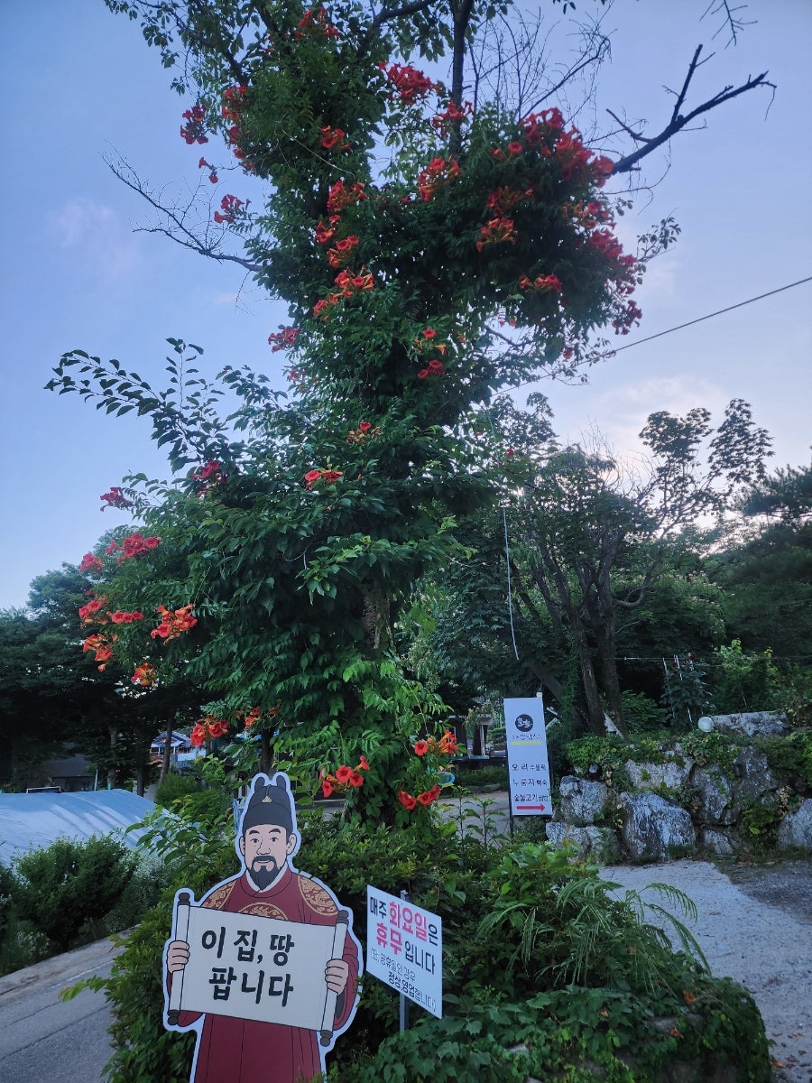 이가네자연밥상 사진 6