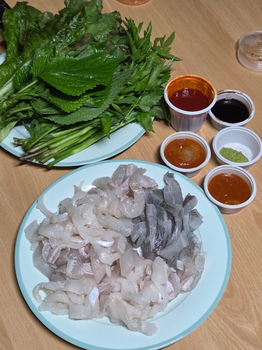 풍성한회나라 사진 4