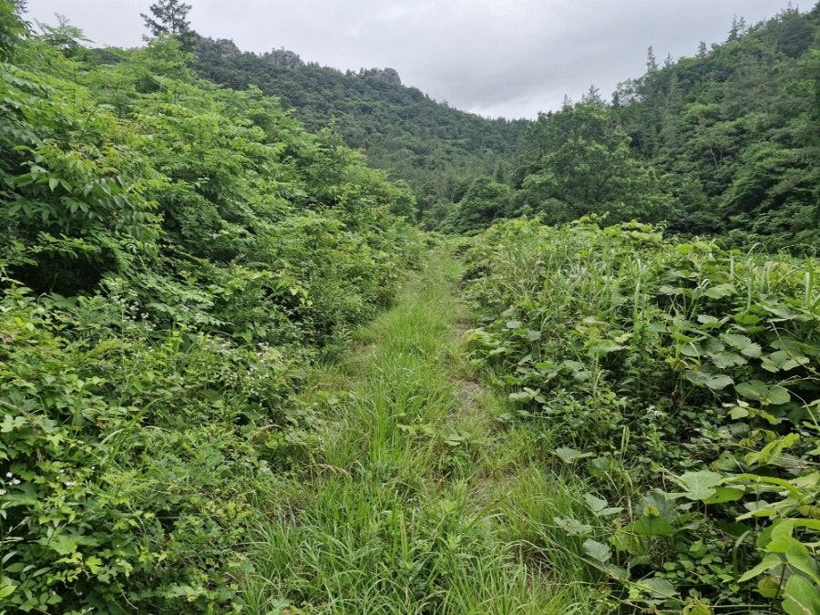 화방산 사진 6