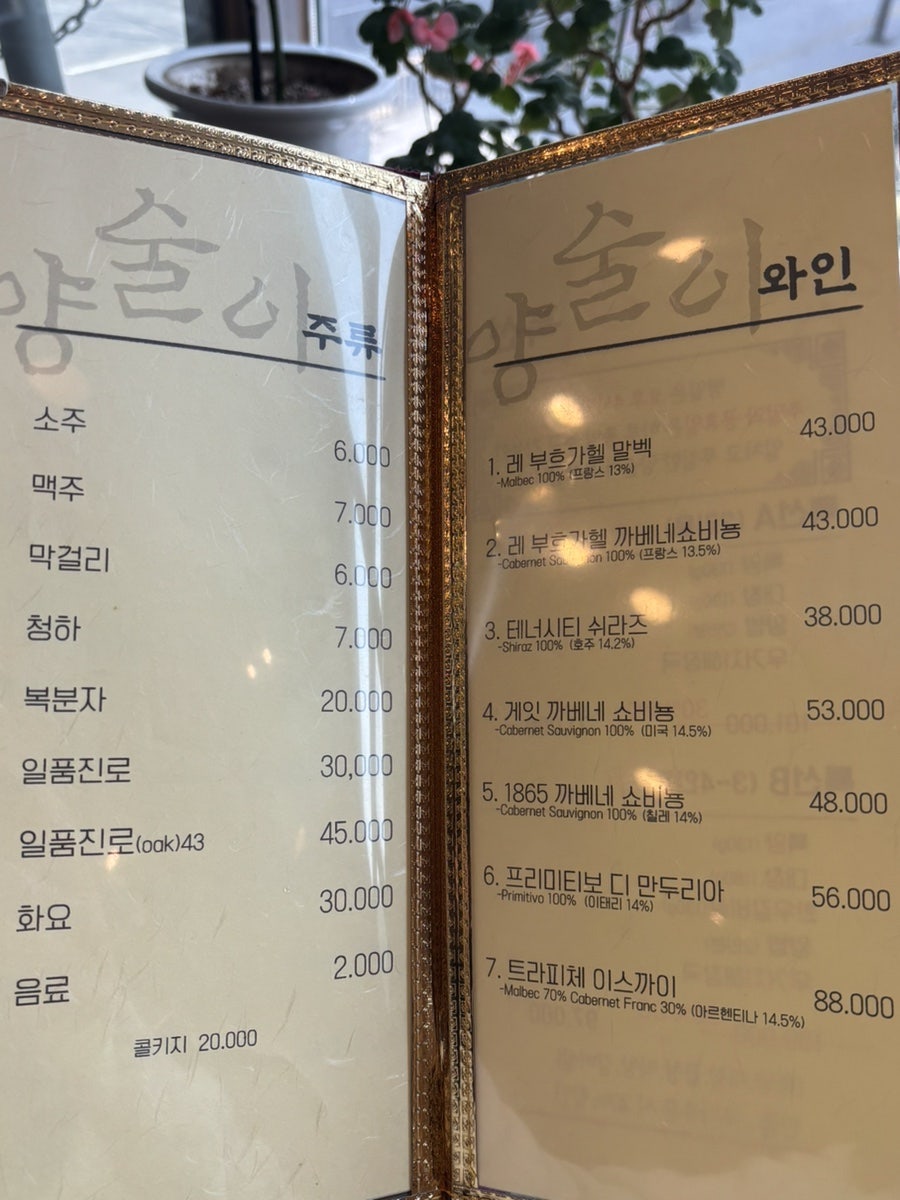 양술이 사진 6