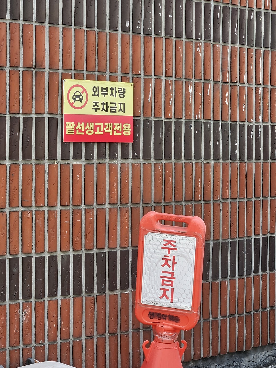 팥선생 사진 2